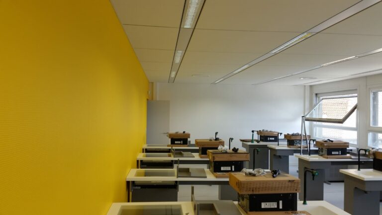 2025 10 renovation armand laboratoire peinture