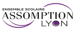 HOME 10 assomption lyon logo